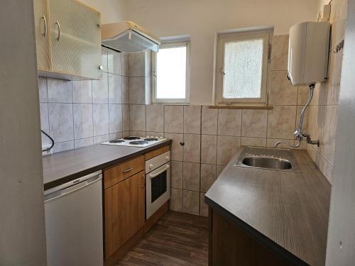 a small kitchen with a sink and a counter top at AMS The Gray in Spaichingen