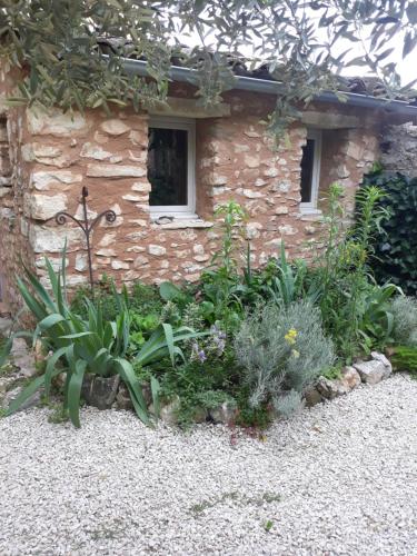 um jardim com plantas em frente a um edifício de pedra em La maison du jardin em Rustrel