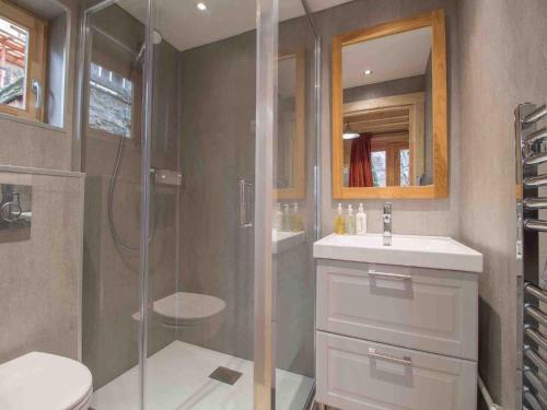 a bathroom with a shower and a sink and a toilet at Nordic Lodge in Peisey-Nancroix