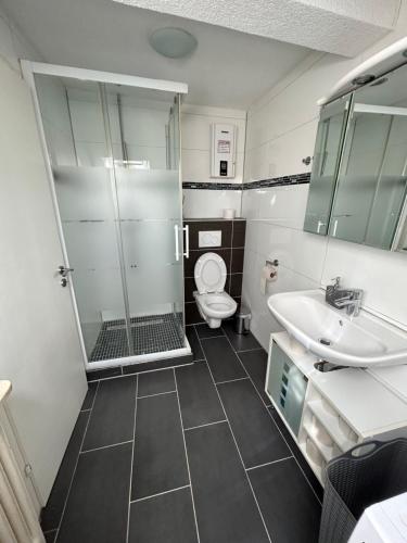 a bathroom with a shower and a toilet and a sink at Stilvolle Wohnung im Stadtzentrum in Kaiserslautern