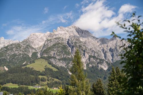a mountain range with a town in front of it at Chalet Steinberg in Leogang