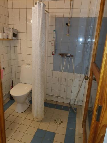 een badkamer met een toilet en een douche met een douchegordijn bij Rokua Ahveroinen A3 in Rokua