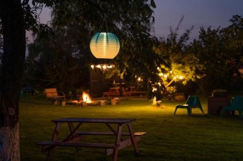 Κήπος έξω από το Dom w Domu - Izera Glamping