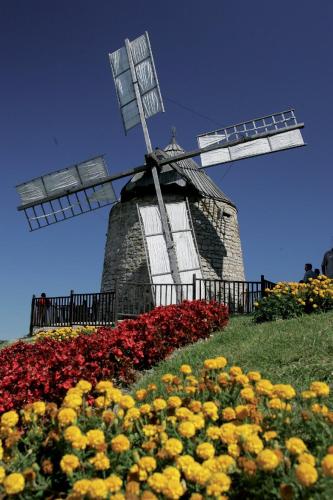 Κήπος έξω από το au village