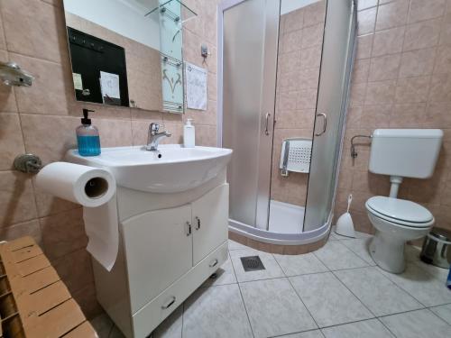 ein Bad mit einem Waschbecken, einer Dusche und einem WC in der Unterkunft Vila Antik in Ilirska Bistrica