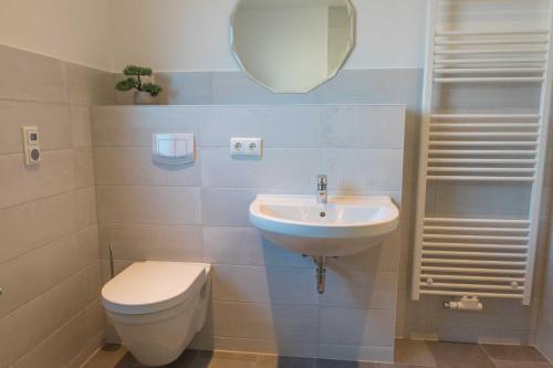 een badkamer met een wastafel, een toilet en een spiegel bij Ferienhaus Zur Mühle in Freest