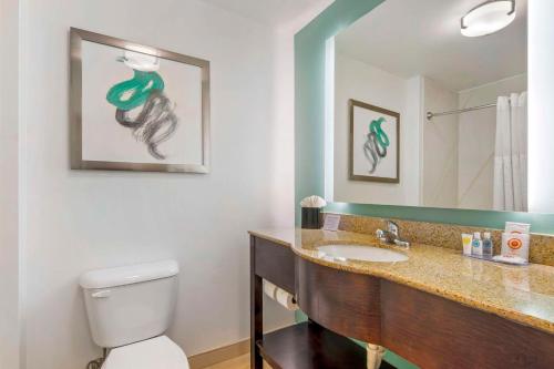 a bathroom with a sink and a toilet and a mirror at Comfort Inn & Suites Port Charlotte-Punta Gorda in Port Charlotte