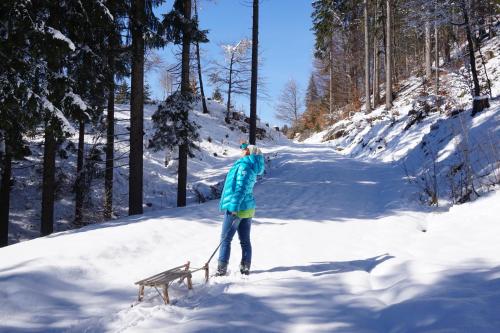 a person on skis in the snow with a dog at nawu apartments & Restaurant in Hermagor