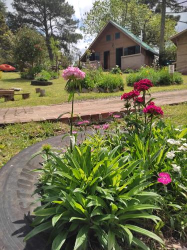 Taman di luar cabanas luar