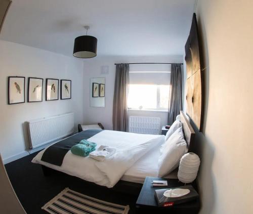 ein Schlafzimmer mit einem großen Bett und einem Fenster in der Unterkunft Dublin 6 Rathgar 3km to downtown in Rathgar