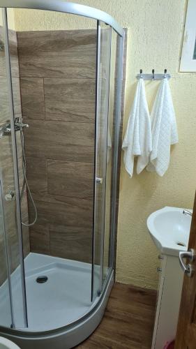 La salle de bains est pourvue d'une douche avec une porte en verre. dans l'établissement CABANA CLAUDIA, à Petroşani