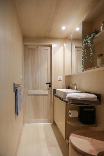 une salle de bain avec un lavabo et un miroir dans l'établissement Le P'tit Nid, à Grosbreuil