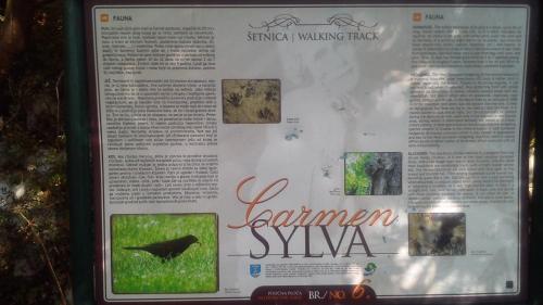 una página de un libro con una foto de un pájaro en Apartment Vesna A2, en Ika