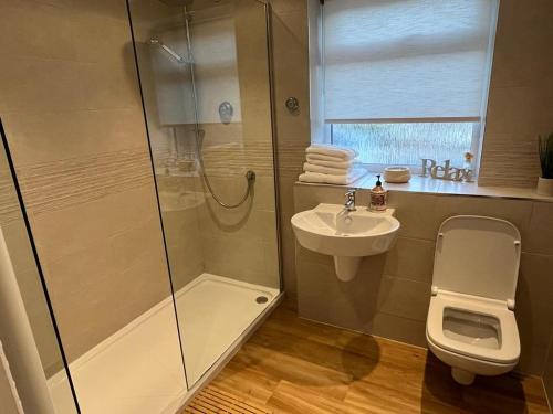 W łazience znajduje się prysznic, toaleta i umywalka. w obiekcie Forest Edge w mieście Woodford Green