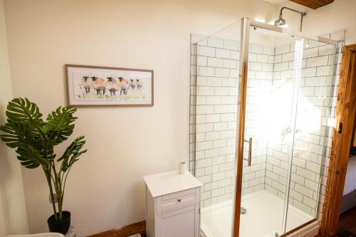 a shower stall in a bathroom with a plant at The Threshing Barn in Woodhall Spa