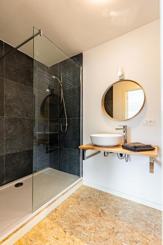a bathroom with a shower and a sink and a mirror at Le Gîtel in Spa
