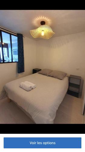 - une chambre avec un grand lit et un lustre dans l'établissement Bel appartement climatisé refait à neuf 100 m de l'océan et toutes commodités 3 e étage sans ascenseur, à Seignosse