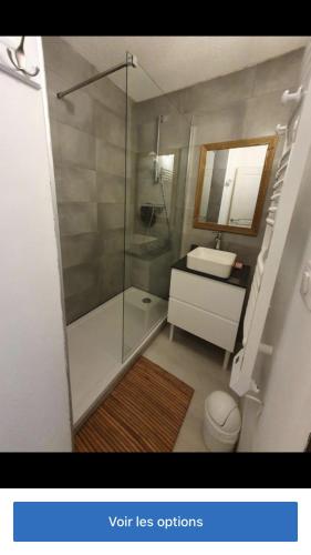 une salle de bain avec une douche, un lavabo et des toilettes dans l'établissement Bel appartement climatisé refait à neuf 100 m de l'océan et toutes commodités 3 e étage sans ascenseur, à Seignosse