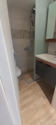 a bathroom with a shower and a toilet and a sink at Point of view 1 in Pramanta