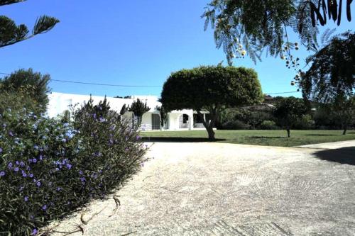 a garden with a house in the background at Villa Omega Guest House in Kokkali, Leros in Gourna