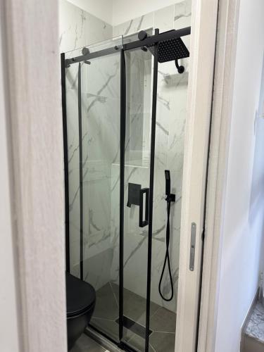 a glass shower door with a toilet in a bathroom at Rossella Silver House in Minturno