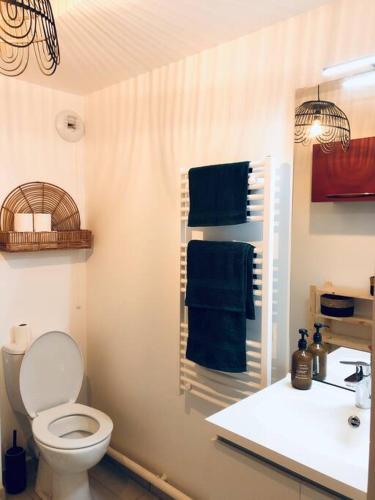 une salle de bain avec toilettes et lavabo et serviettes bleues dans l'établissement STUDIO COSY PROCHE DISNEY, à Chalifert
