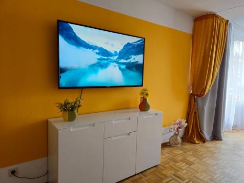 TV a/nebo společenská místnost v ubytování Felde SLP 3- Zimmer Ferienwohnung in Essen- Steele