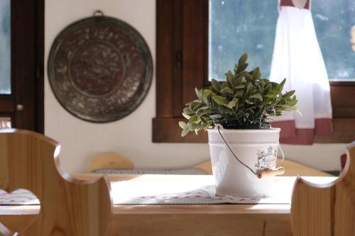 Casa Del Conte – Photos 4