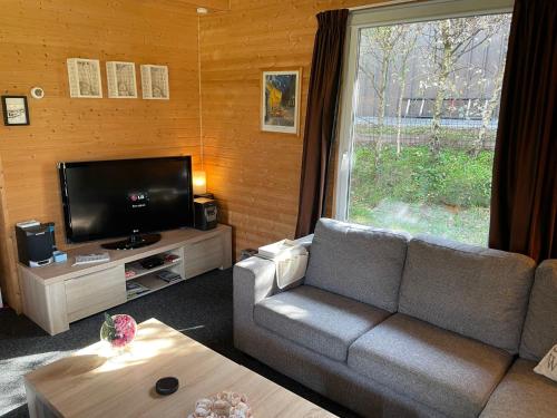 uma sala de estar com um sofá e uma televisão de ecrã plano em Chalet Wilsumer Berge by Interhome em Wilsum