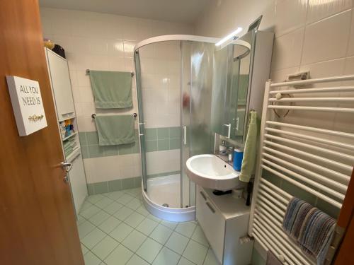 y baño con ducha y lavamanos. en Nice apartment with terrace and garden view, en Bohinj