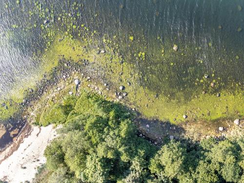 an overhead view of a beach with trees and water at Chic Sauna Cabin Near the Sea - KOHIN Cabin Nº02 in Tsitre