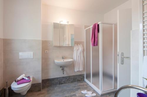 een badkamer met een douche, een toilet en een wastafel bij Seepark Wolfswinkel in Storkow