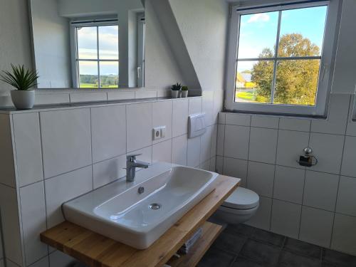 a bathroom with a sink and a toilet at Ferienhaus Alpenblick in Bad Wurzach