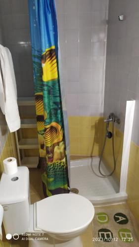 Baño con cortina de ducha junto a un aseo en Apartamento Montiel, en Trigueros