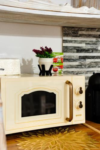 a microwave oven with a plant on top of it at Kata Kulcsosház in Odorheiu Secuiesc
