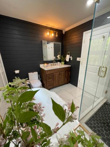 a bathroom with a shower and a sink and a toilet at Hudson Valley Cottage Rental 3 bedrooms Monroe NY in Monroe