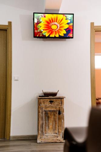a television on a wall with a flower on it at Kata Kulcsosház in Odorheiu Secuiesc