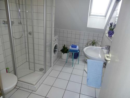 a bathroom with a shower and a sink and a toilet at City-Dachapartment Mainz in Mainz