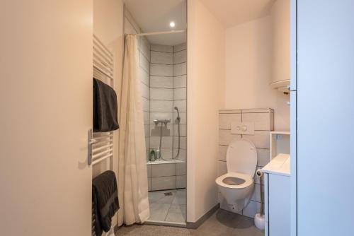 uma pequena casa de banho com WC e chuveiro em Moderne & Lumineux - Hyper Centre em Tournon-sur-Rhône