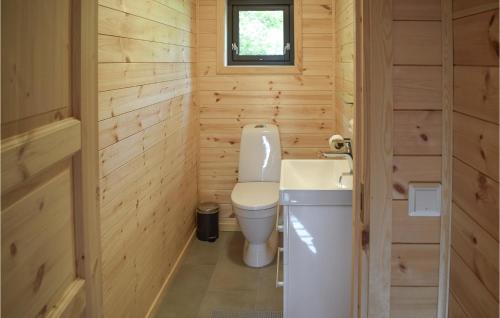 Baño pequeño con aseo y lavamanos en Cozy Home In Treungen With Wifi, en Kyrkjebygdi