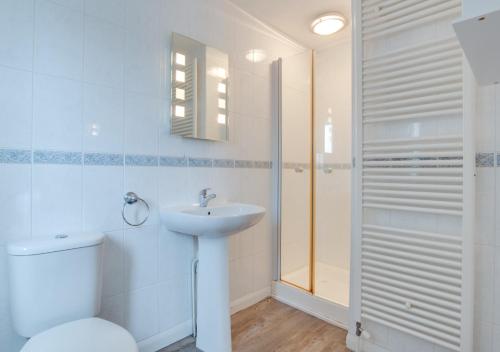 ein Bad mit einem WC, einem Waschbecken und einer Dusche in der Unterkunft Dartwood House in Kingswear