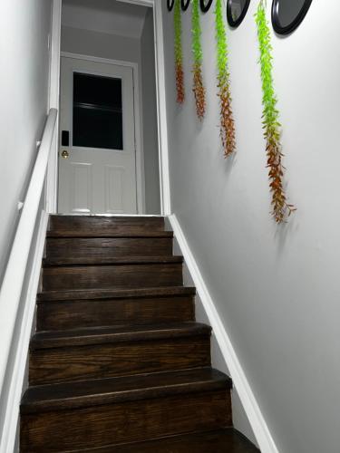 a hallway with stairs with plants on the wall at Tosam Luxury Lodge Two Bedroom Suite in Brampton