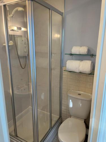 ein Bad mit einer Dusche und einem WC in der Unterkunft Oronsay Guest House in Alnwick