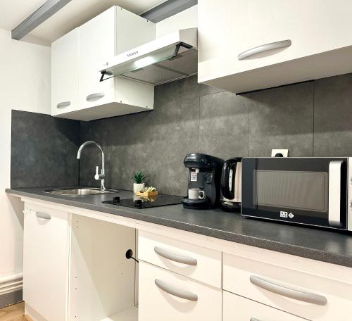 eine Küche mit einer Spüle und einer Mikrowelle in der Unterkunft LE DUPLEX BELLE VUE - Hyper Centre in Mont-de-Marsan