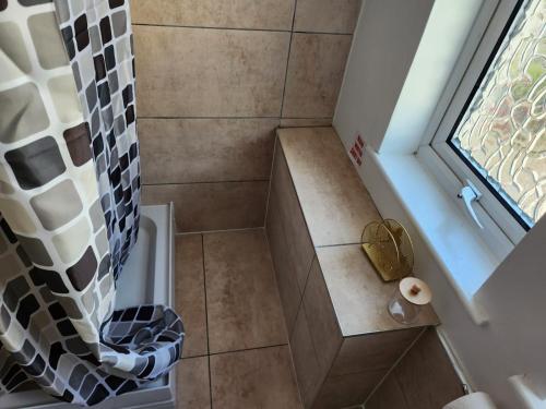 a bathroom with a shower with a shower curtain at Studio in Greenhithe in Greenhithe