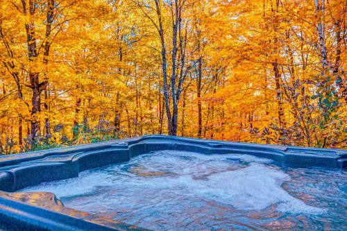 Monopoly - Lake, Spa and Sauna – Photos 2