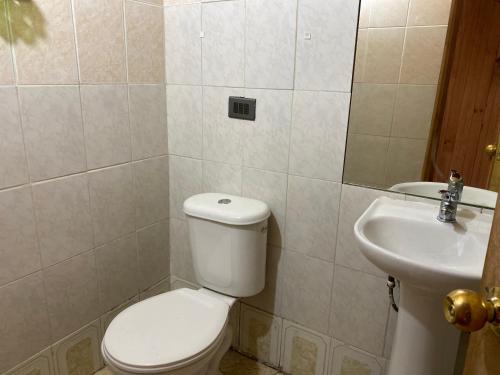 La salle de bains est pourvue de toilettes et d'un lavabo. dans l'établissement Cabañas menetue, à Curarrehue