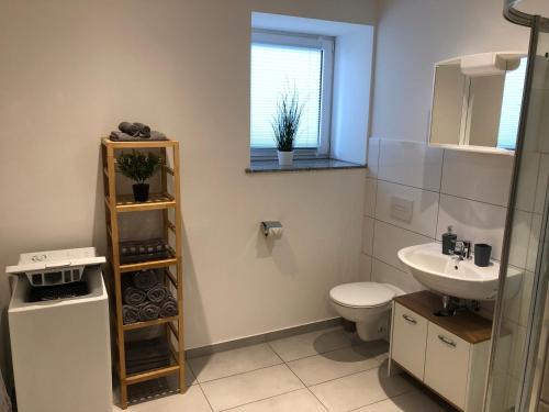 a bathroom with a sink and a toilet and a window at Ferienhaus Staßfurt in Staßfurt