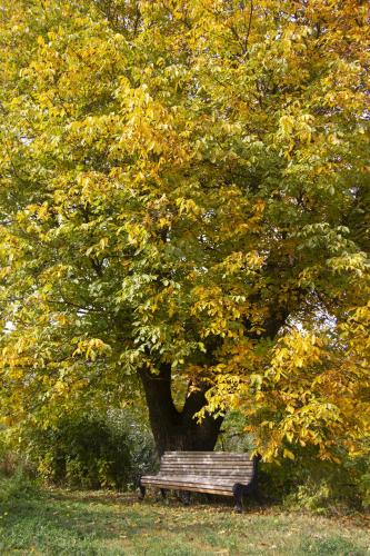  Zove Rural Cottage with garden views -  Room  picture :   Shower    Hairdryer    Iron                           