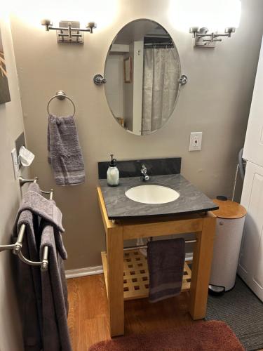 a bathroom with a sink and a mirror at A Spicy Swedish Cottage in Salt Lake City